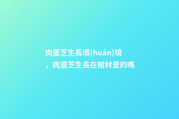 肉靈芝生長環(huán)境，肉靈芝生長在棺材里的嗎