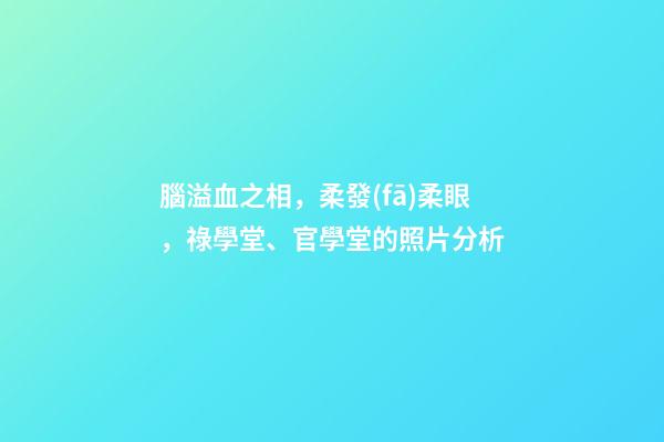 腦溢血之相，柔發(fā)柔眼，祿學堂、官學堂的照片分析