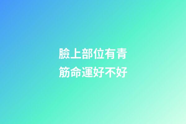臉上部位有青筋命運好不好