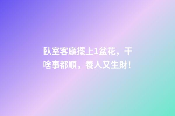 臥室客廳擺上1盆花，干啥事都順，養人又生財！