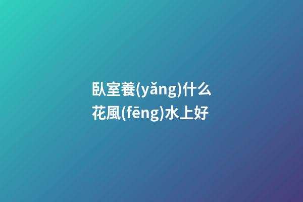 臥室養(yǎng)什么花風(fēng)水上好