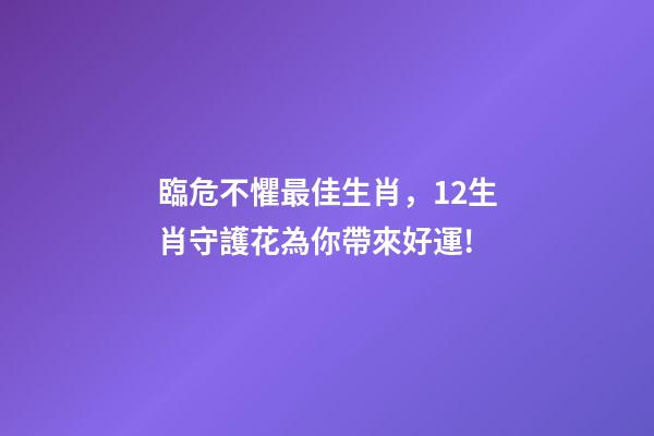 臨危不懼最佳生肖，12生肖守護花為你帶來好運!-第1張-觀點-玄機派