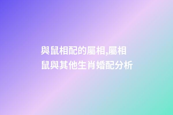 與鼠相配的屬相,屬相鼠與其他生肖婚配分析-第1張-觀點-玄機派