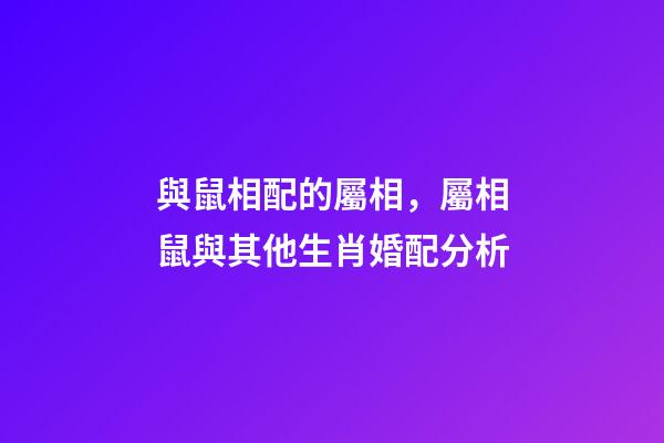 與鼠相配的屬相，屬相鼠與其他生肖婚配分析-第1張-觀點-玄機派