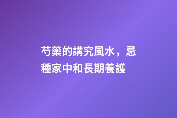 芍藥的講究風水，忌種家中和長期養護