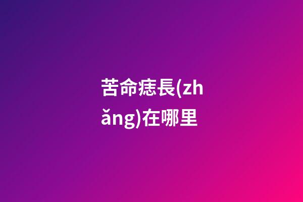 苦命痣長(zhǎng)在哪里