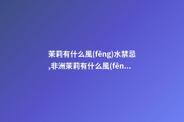 茉莉有什么風(fēng)水禁忌,非洲茉莉有什么風(fēng)水作用？