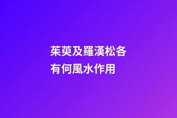 茱萸及羅漢松各有何風水作用?