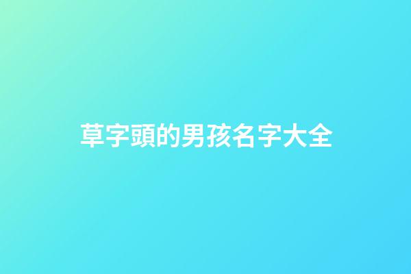 草字頭的男孩名字大全