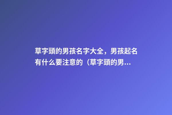 草字頭的男孩名字大全，男孩起名有什么要注意的（草字頭的男孩名字大全,男孩起名有什么要注意的嗎）