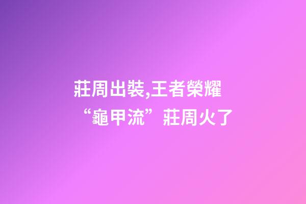 莊周出裝,王者榮耀“龜甲流”莊周火了-第1張-觀點-玄機派