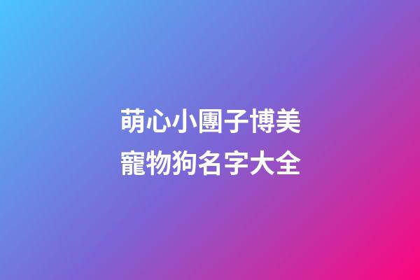 萌心小團子博美寵物狗名字大全