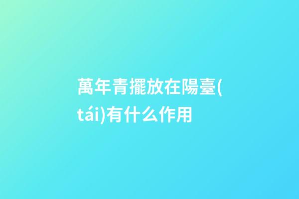萬年青擺放在陽臺(tái)有什么作用