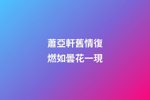 蕭亞軒舊情復燃如曇花一現