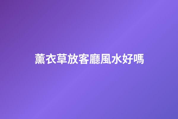 薰衣草放客廳風水好嗎