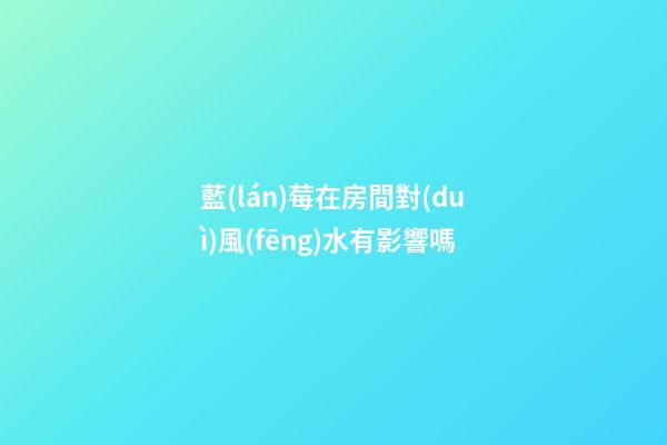 藍(lán)莓在房間對(duì)風(fēng)水有影響嗎
