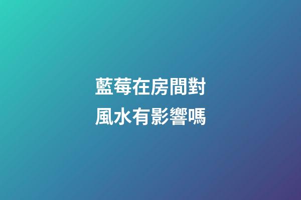 藍莓在房間對風水有影響嗎
