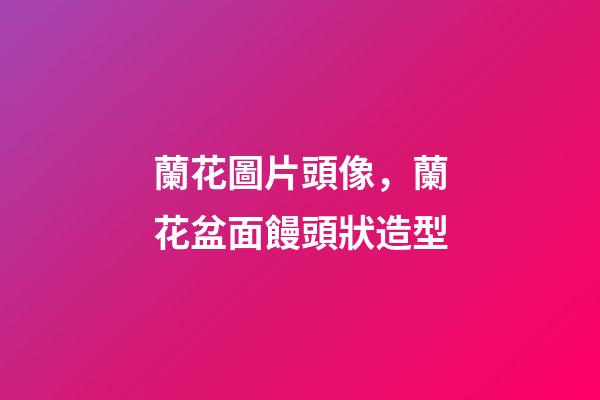 蘭花圖片頭像，蘭花盆面饅頭狀造型-第1張-觀點-玄機派