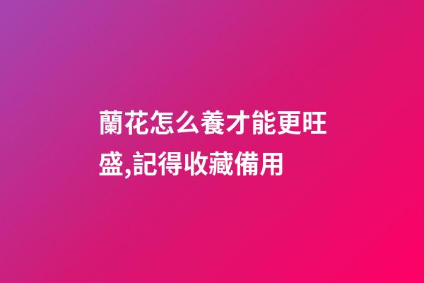 蘭花怎么養才能更旺盛,記得收藏備用-第1張-觀點-玄機派