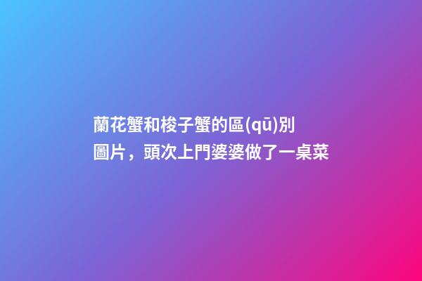 蘭花蟹和梭子蟹的區(qū)別圖片，頭次上門婆婆做了一桌菜-第1張-觀點-玄機派