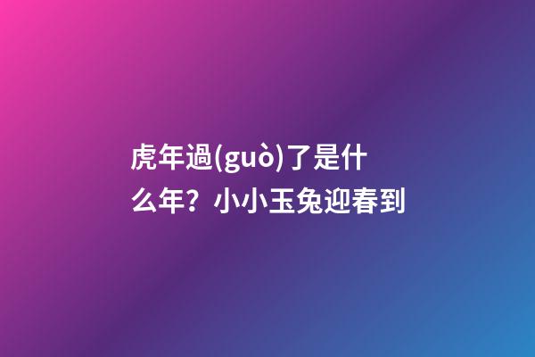 虎年過(guò)了是什么年？小小玉兔迎春到