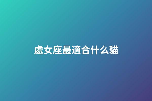 處女座最適合什么貓-第1張-星座運勢-玄機派