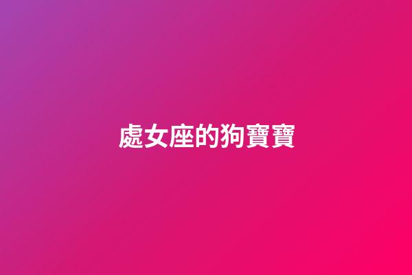 處女座的狗寶寶