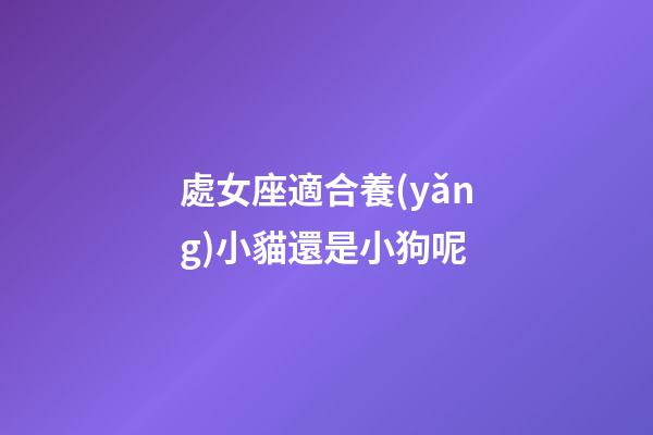 處女座適合養(yǎng)小貓還是小狗呢-第1張-星座運勢-玄機派
