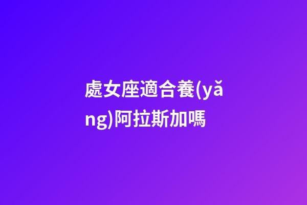 處女座適合養(yǎng)阿拉斯加嗎