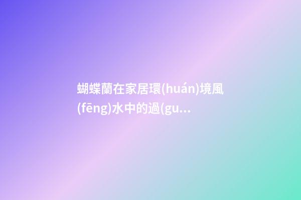 蝴蝶蘭在家居環(huán)境風(fēng)水中的過(guò)人之處