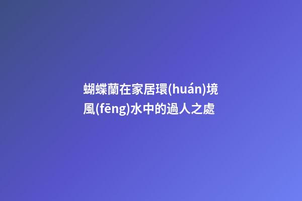 蝴蝶蘭在家居環(huán)境風(fēng)水中的過人之處