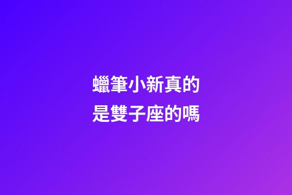 蠟筆小新真的是雙子座的嗎-第1張-星座運勢-玄機派