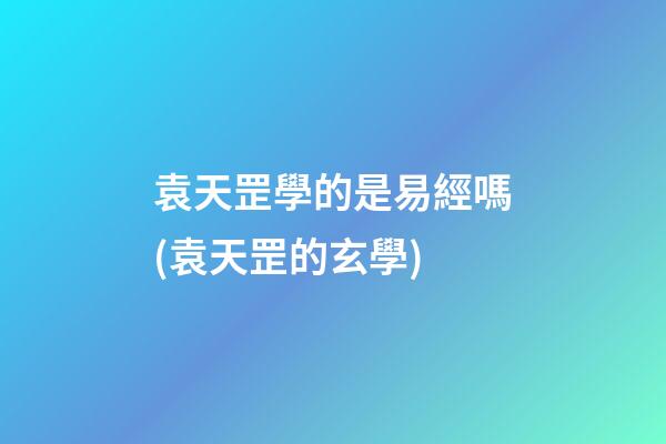 袁天罡學的是易經嗎(袁天罡的玄學)