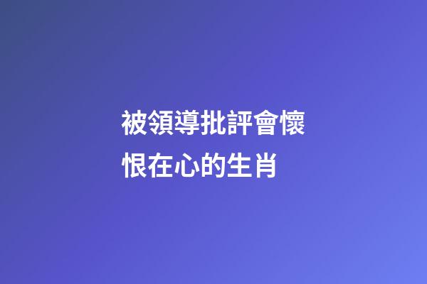 被領導批評會懷恨在心的生肖