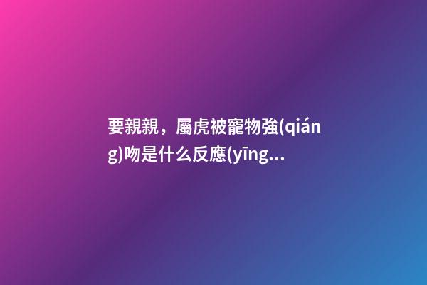 要親親，屬虎被寵物強(qiáng)吻是什么反應(yīng)