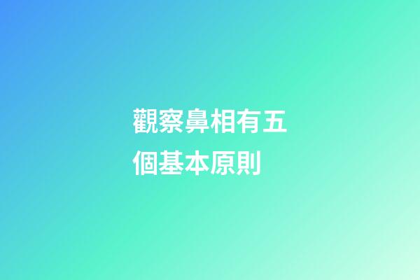 觀察鼻相有五個基本原則