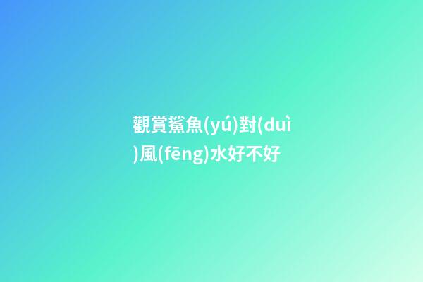 觀賞鯊魚(yú)對(duì)風(fēng)水好不好
