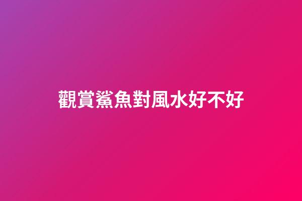 觀賞鯊魚對風水好不好