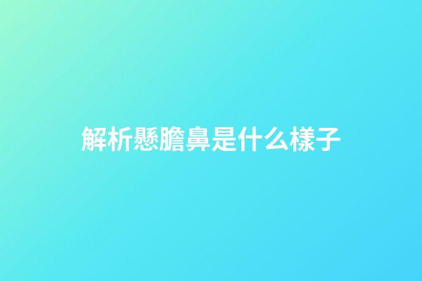 解析懸膽鼻是什么樣子