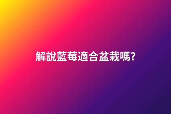 解說藍莓適合盆栽嗎？
