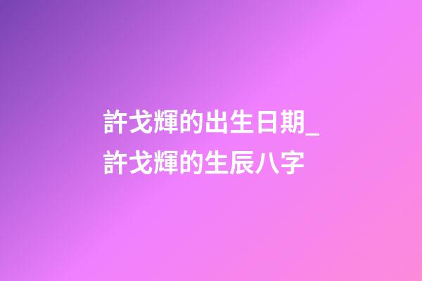 許戈輝的出生日期_許戈輝的生辰八字