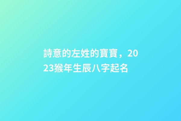 詩意的左姓的寶寶，2023猴年生辰八字起名