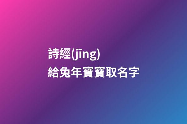 詩經(jīng)給兔年寶寶取名字(詩經(jīng)兔罝全文)-第1張-寶寶起名-玄機(jī)派