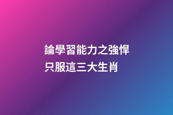 論學習能力之強悍只服這三大生肖