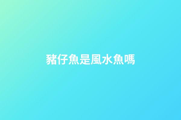豬仔魚是風水魚嗎