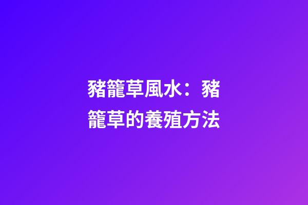 豬籠草風水：豬籠草的養殖方法