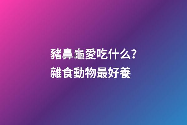 豬鼻龜愛吃什么？雜食動物最好養