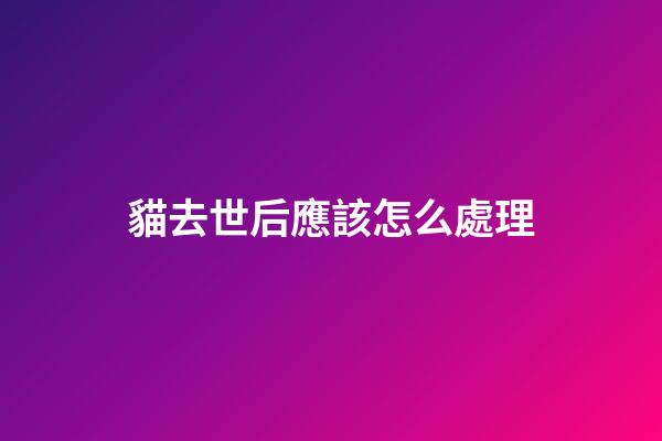 貓去世后應該怎么處理