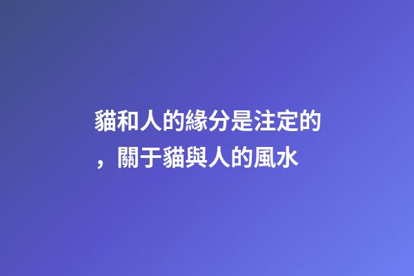 貓和人的緣分是注定的，關于貓與人的風水