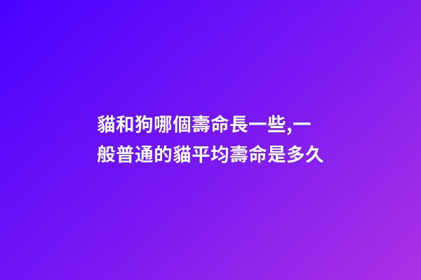 貓和狗哪個壽命長一些,一般普通的貓平均壽命是多久-第1張-觀點-玄機派
